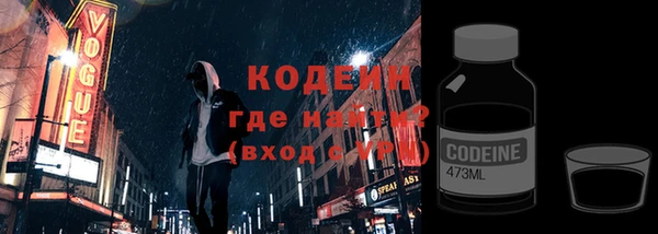 хмурый Алексин