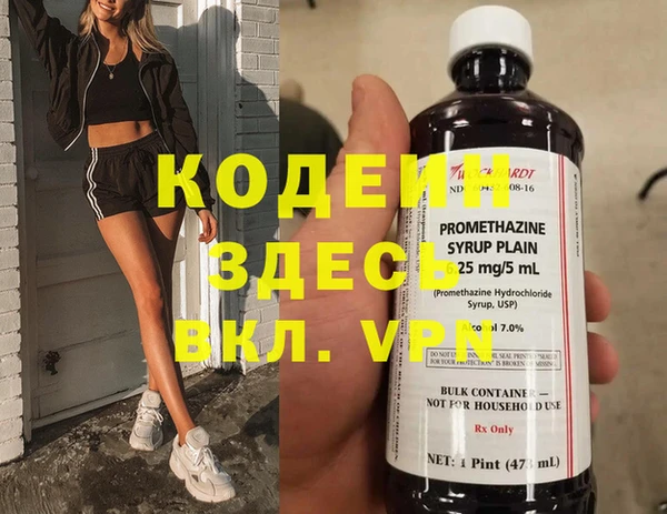 ECSTASY Алзамай