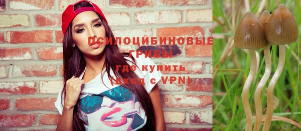 хмурый Алексин