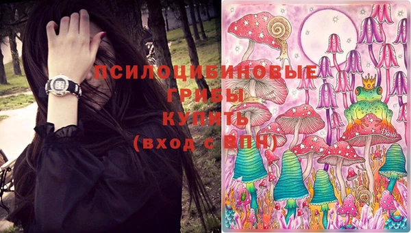 ECSTASY Алзамай