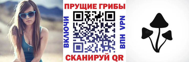 гидра как войти  Славск  Псилоцибиновые грибы мицелий 